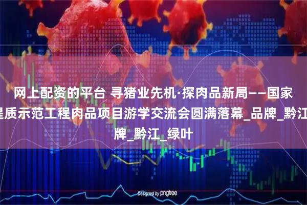 网上配资的平台 寻猪业先机·探肉品新局——国家生猪提质示范工程肉品项目游学交流会圆满落幕_品牌_黔江_绿叶