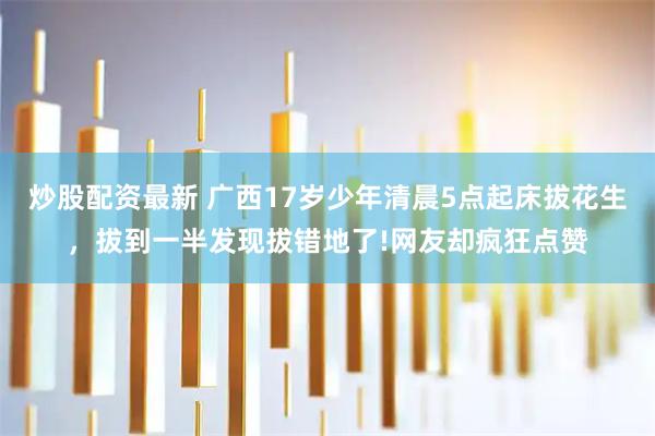 炒股配资最新 广西17岁少年清晨5点起床拔花生，拔到一半发现拔错地了!网友却疯狂点赞