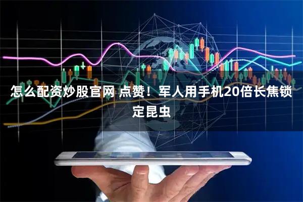 怎么配资炒股官网 点赞！军人用手机20倍长焦锁定昆虫
